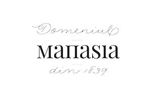 Christmas Party Offer at Domeniul Manasia